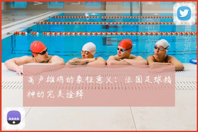 高卢雄鸡的象征意义:法国足球精神的完美诠释